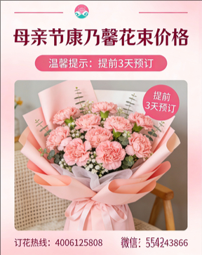 安康汉阴县花店母亲节康乃馨花束