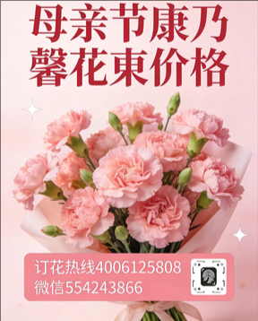 安康汉阴县花店母亲节康乃馨花束